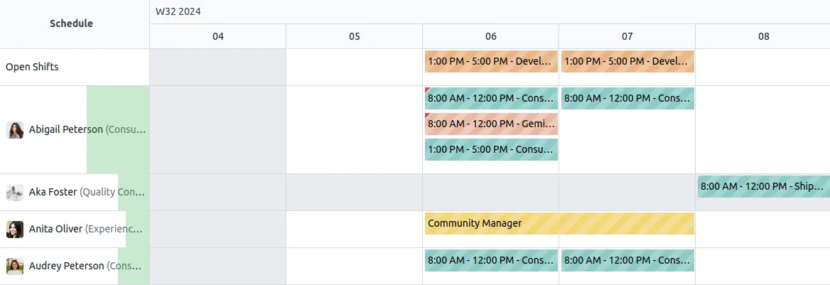 Odoo Planning Gantt view of technician and staff shifts - technician management software UAE